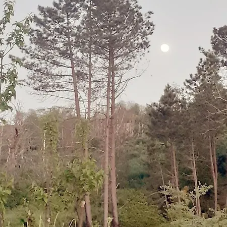 Refugio D'aldeia Da Serra * Seia