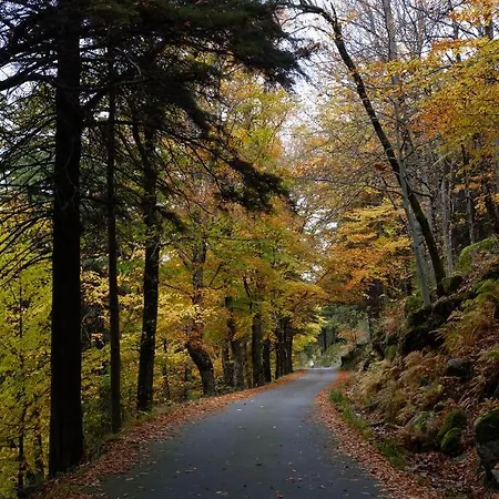 Refugio D'aldeia Da Serra