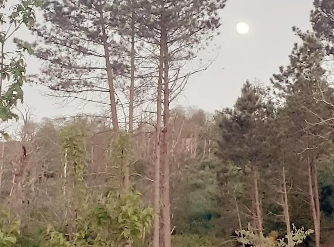 Refugio D'aldeia Da Serra * Seia