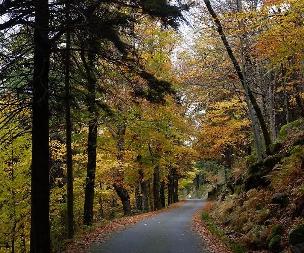 Refugio D'aldeia Da Serra